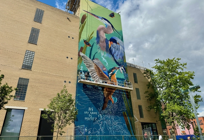 Large mural on the side of a tall brick building depicting vibrant wildlife, including a heron, kingfisher, and other birds surrounded by reeds and water. The artwork features bright greens and blues, with text near the bottom reading ‘Hi my name is Peachzz.’ Trees and a partly cloudy sky frame the scene.