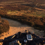 A bike going along an earth track through heather.