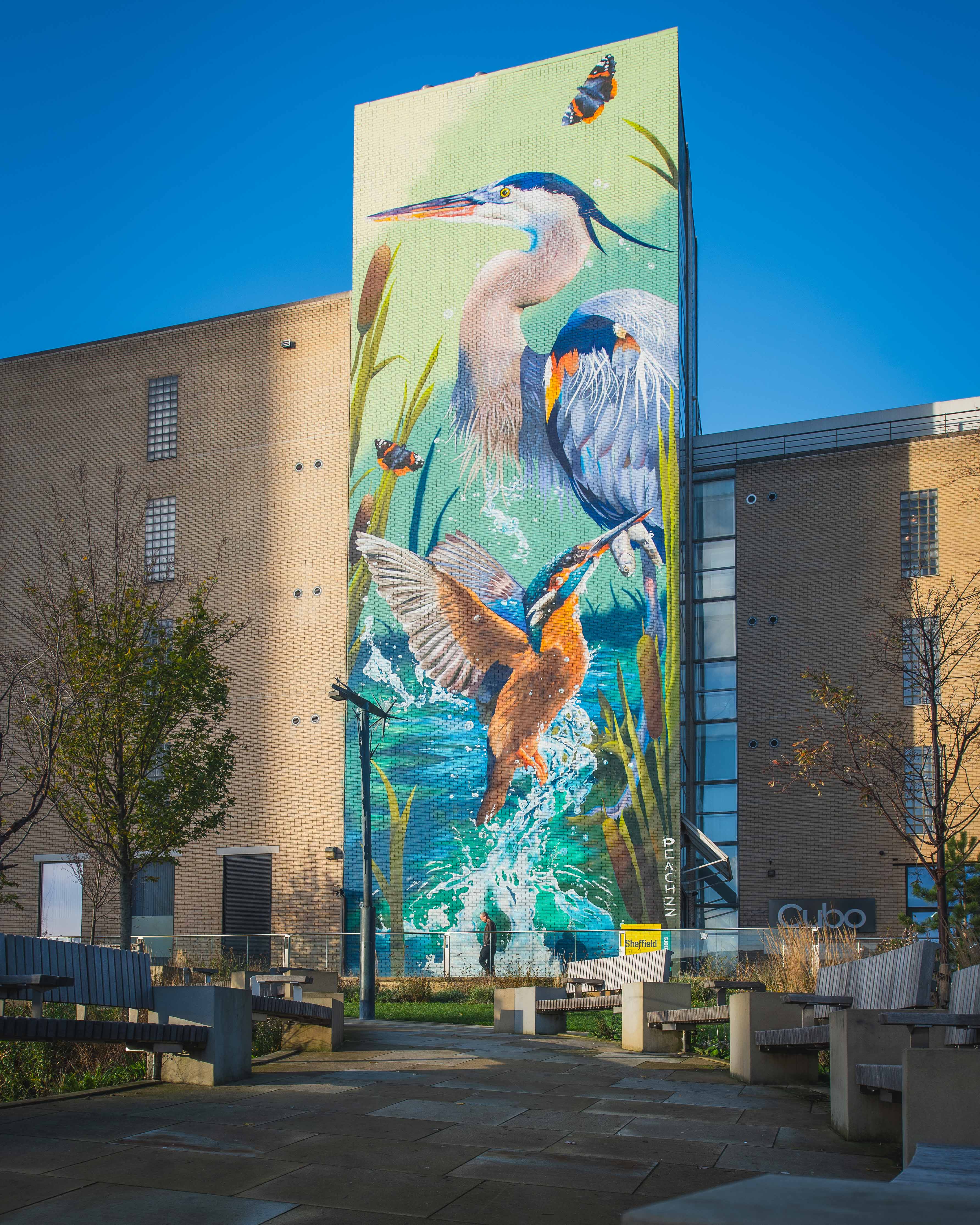 Detailed view of a tall building mural showcasing a heron and a kingfisher in a natural wetland scene with splashing water, green reeds, and butterflies. The artwork is framed by adjacent brick buildings and a landscaped area with benches under a clear blue sky
