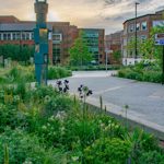 Several areas are planted up with lots of grasses and plants in an urban setting. Paths weave between them with benches for people to sit on.