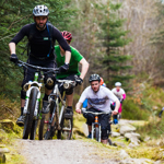 Six or so people, on mountain bikes, ride along a track in a wooded area.