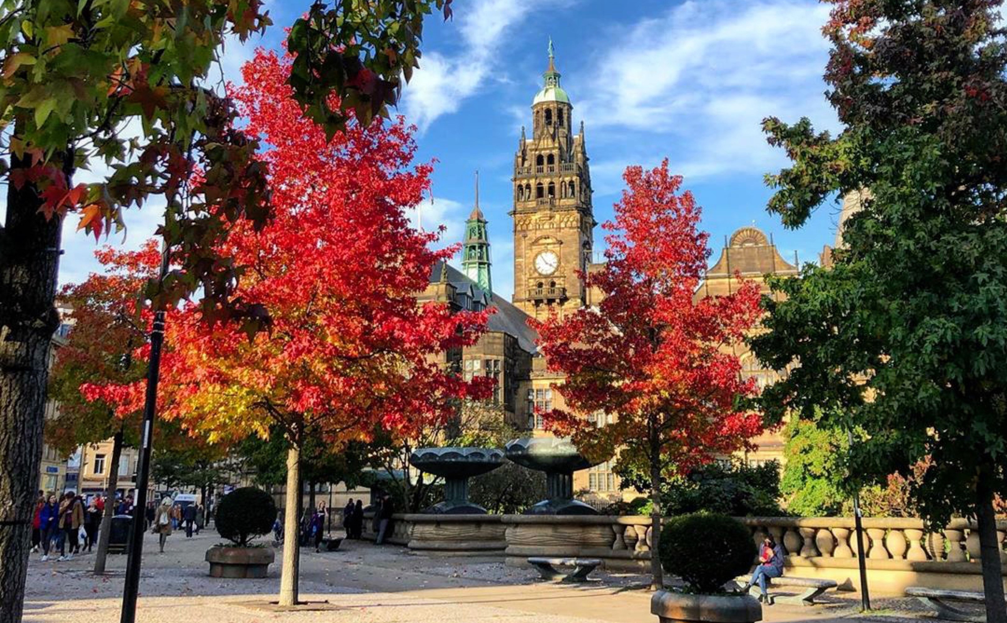 Sheffield Peace Gardens in the Autumn, the leaves on the trees are turning red and yellow.