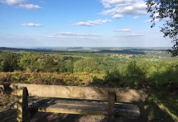 A wooden bench sits in the foreground, overlooking a scenic landscape of rolling green hills, scattered trees, and a clear blue sky with fluffy white clouds. The peaceful setting suggests a place for quiet reflection or enjoying nature.