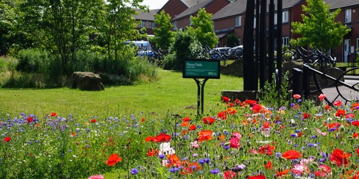 A vibrant garden with red poppies and purple cornflowers in full bloom, set in front of brick houses and a row of trees. A green sign in the centre reads 'Flower Patch' under a bright, sunny sky.