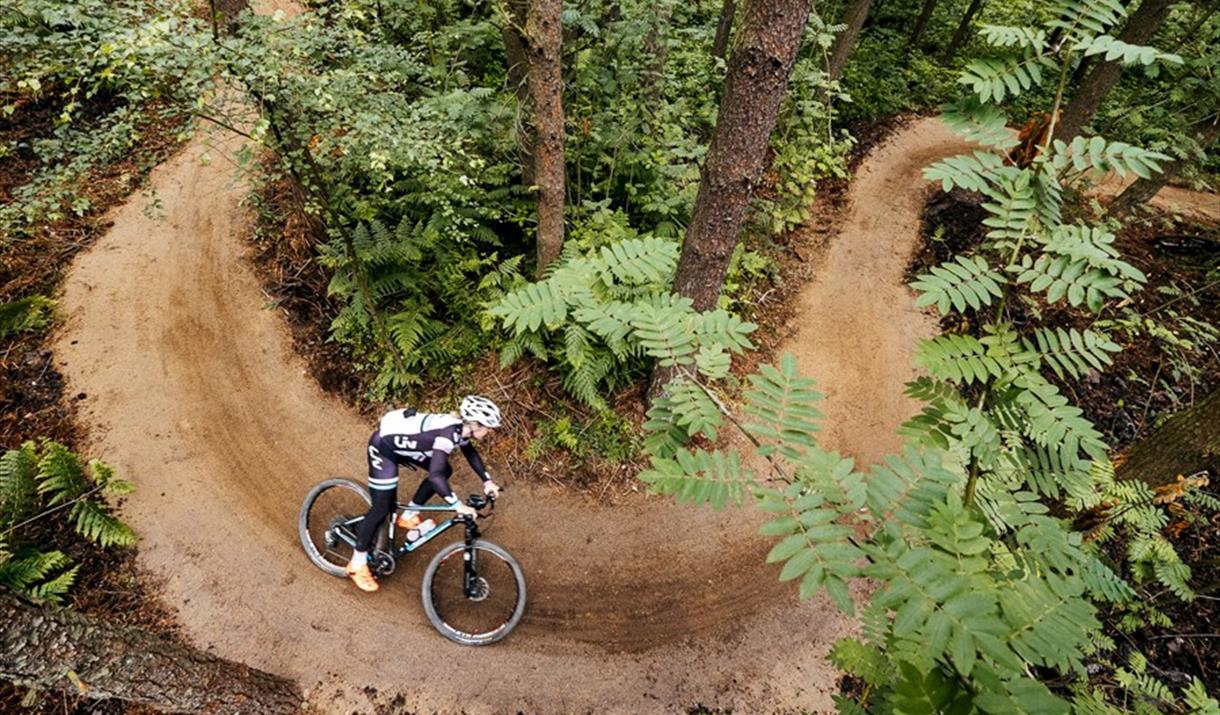 An aerial shot of a mountain biker taking a sharp bend on a dirt track in the middle of a heavily wooded area.