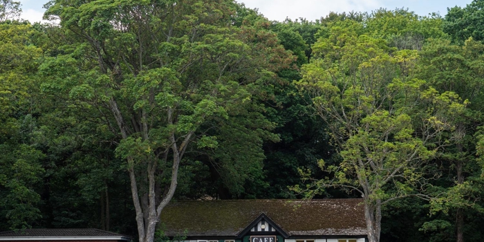 Endcliffe Park Cafe. In the distance is a busy cafe. 